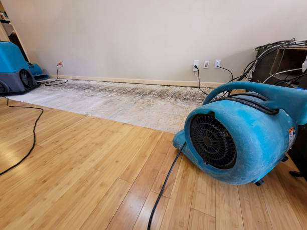 Professional Structural Drying technician working in McClure, PA
